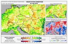 Dopady na vegetaci - Evropa - 6. říjen 2024