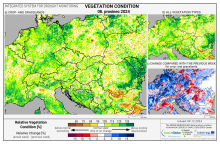 Dopady na vegetaci - Evropa - 8. prosinec 2024