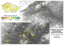 Vegetace trvalých kultur - 19. červen 2016