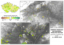Vegetace trvalých kultur - 11. srpen 2019