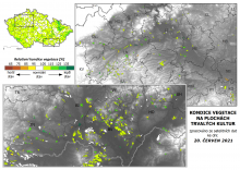 Vegetace trvalých kultur - 20. červen 2021
