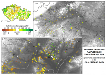 Vegetace trvalých kultur - 21. listopad 2021