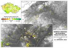 Vegetace trvalých kultur - 21. červenec 2022