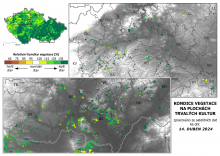 Vegetace trvalých kultur - 14. duben 2024