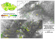Vegetace trvalých kultur - 13. říjen 2024